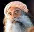 Sadhguru Jaggi Vasudev